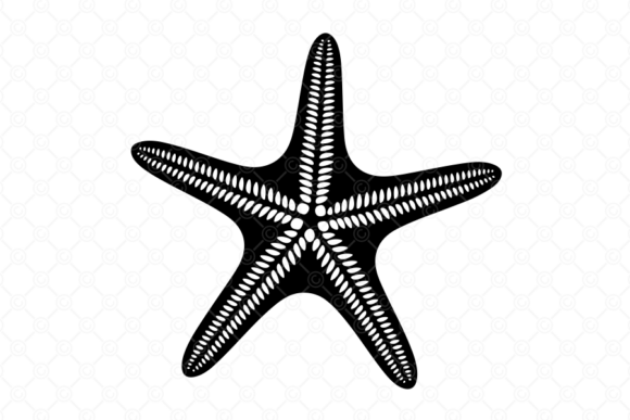 Starfish SVG, Starfish Silhouette, 031: A Versatile Design for Creative Projects